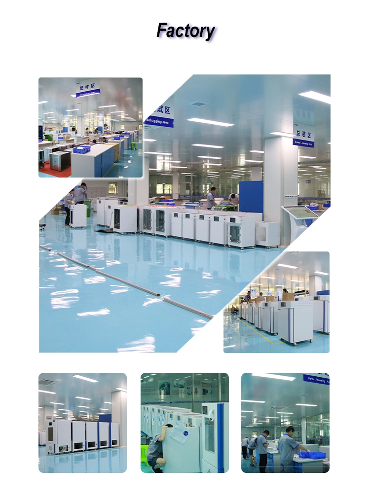 Biobase Pharmaceutical Industry Stability Cooling Medicine Stability Test Chamber